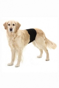 Kalhoty pro psy proti značkování 90x30cm 1ks 